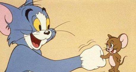 爆料猫玩老鼠视频下载,下载背后的趣味与争议 第2张 爆料猫玩老鼠视频下载,下载背后的趣味与争议 第2张