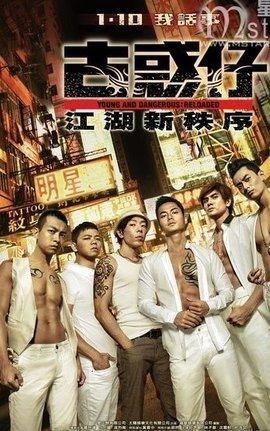 古惑仔江湖新秩序在线观看,热血江湖，兄弟情深